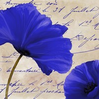 Coquelicots Bleues II by Color Bakery - various sizes