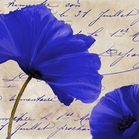 Coquelicots Bleues II Fine Art Print