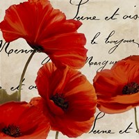 Coquelicots Rouge I by Color Bakery - various sizes