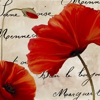 Coquelicots Rouge II Fine Art Print