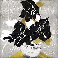 Georgette I Fine Art Print