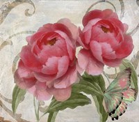 Apricot Peonies I Fine Art Print