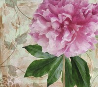 Sonata II Fine Art Print