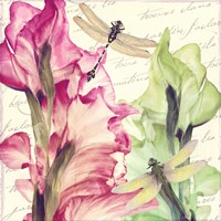 Dragonfly Morning II Fine Art Print