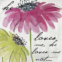 Daisy Morning II Fine Art Print