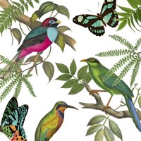 Walking on Air II Fine Art Print