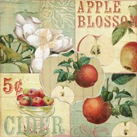Apple Blossoms I Fine Art Print