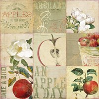 Apple Blossoms III Fine Art Print
