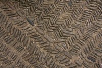 Spain, Navarre, Muruzabal, Cobblestone Pattern Fine Art Print