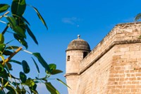 City ramparts, Palma de Mallorca, Majorca, Balearic Islands, Spain Fine Art Print