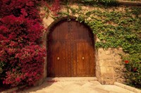 Doorway at Consolat de Mar, Palma de Mallorca, Balearics, Spain Fine Art Print