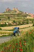 Blue tractor on rural road, San Vicente de la Sonsierra Village, La Rioja, Spain Fine Art Print