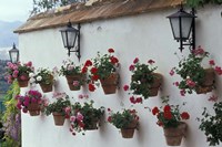 Geraniums along White Wall of Palacio de Mondragon, Ronda, Spain Fine Art Print