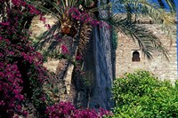 Plams, Flowers and Ramparts of Alcazaba, Malaga, Spain Fine Art Print