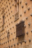 Casa de las Conchas, Salamanca, Spain Fine Art Print