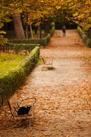 Parque del Buen Retiro, Madrid, Spain Fine Art Print