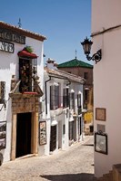 Spain, Andalusia, Cadiz, Arcos De la Fontera Typical Street View Fine Art Print