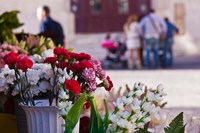 Spain, Cadiz, Plaza de Topete Flower Market Fine Art Print