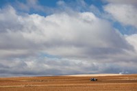 Farm Field In Autumn, Benavente, Spain Fine Art Print