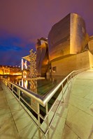 Guggenheim Museum lit at night, Bilbao, Spain Fine Art Print