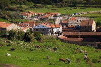 Medieval Town Buildings, Santillana del Mar, Spain Fine Art Print