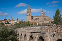 Puente Romano, Salamanca, Spain Fine Art Print