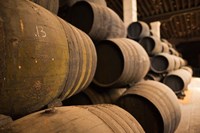 Sherry Casks, Bodegas Gonzalez Byass, Jerez de la Frontera, Spain Fine Art Print