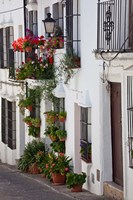 Spain, Andalucia Region, Cadiz, Grazalema Potted plants by a home Fine Art Print