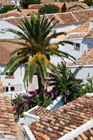 Spain, Andalusia, Zahara Rooftops in the Andalusian White Village Fine Art Print