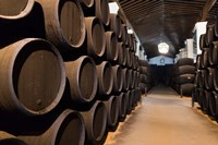 Spain, Bodegas Gonzalez Byass, Winery Casks Fine Art Print