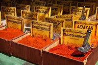 Spain, Granada Spices for sale at an outdoor market in Granada Fine Art Print