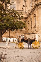 Spain, Seville, Horse carriage, Plaza del Triunfo Fine Art Print