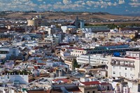 View From Torre Giralda, Seville, Spain Fine Art Print