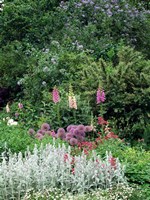 Nash Garden, St James Park, London, England Fine Art Print