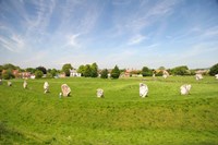 Stone Display, Avebury, England Fine Art Print