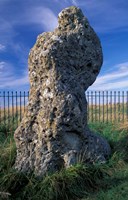 Rollright Stones, Bronze Age Circle, Gloucestershire, England by Nik Wheeler - various sizes - $41.49