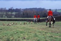 The Quorn Fox Hunt, Leicestershire, England Fine Art Print