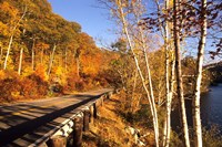 Tranquil Road with Fall Colors in New England Fine Art Print