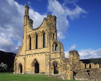 Byland Abbey, North Yorkshire, England Fine Art Print