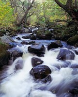 Waterfall, England Fine Art Print