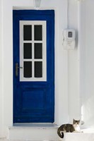 Greece, Aegean Islands, Samos, Door, Cat Fine Art Print