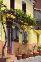 Yellow House, Agiasos, Lesvos, Mytilini, Aegean Islands, Greece Fine Art Print