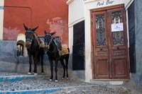 Town of Fira, Santorini, Greece Fine Art Print