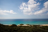 Cyprus, Karpas peninsula, Golden Beach Fine Art Print