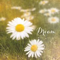 Daisy Dreams Fine Art Print