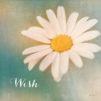 Daisy Wishes Fine Art Print