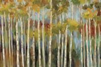 Young Forest III Fine Art Print