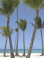 Gran Bavarro I Fine Art Print