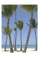 Gran Bavarro I Fine Art Print