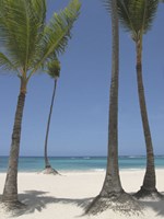 Gran Bavarro II Fine Art Print